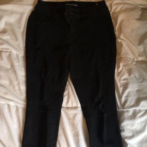 maurices jeans